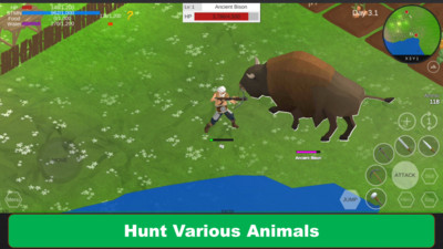 荒野大陆生存-图3