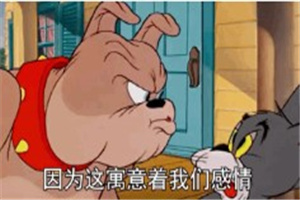 五一那天一定要穿上黑丝出来喝个小酒这寓意我们的感情尝尝酒酒表情包 五一那天一定要穿上黑丝出来喝个小酒这寓意我们的感情尝尝酒酒表情包