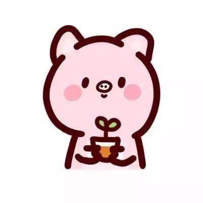 猪头像 猪头像