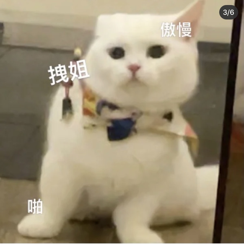 我很丑吗那我走抖音表情包 我很丑吗那我走抖音表情包