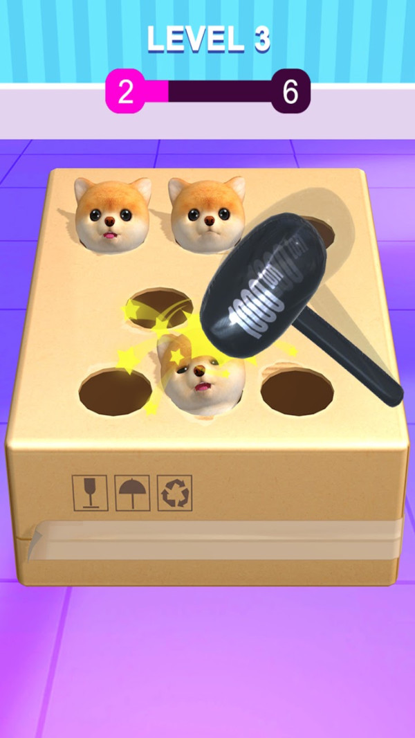 宠物修个毛-图2