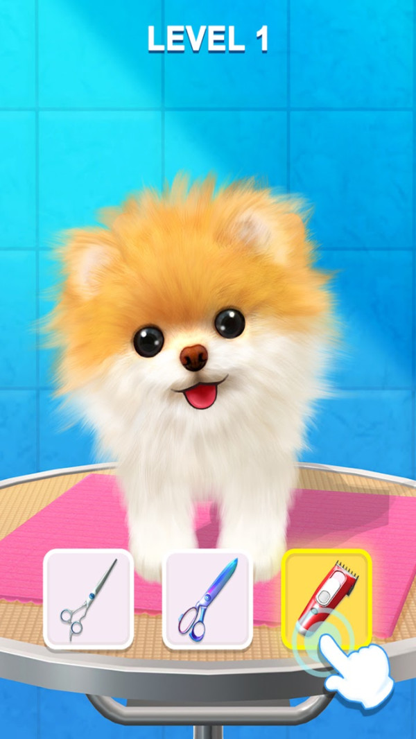 宠物修个毛-图4