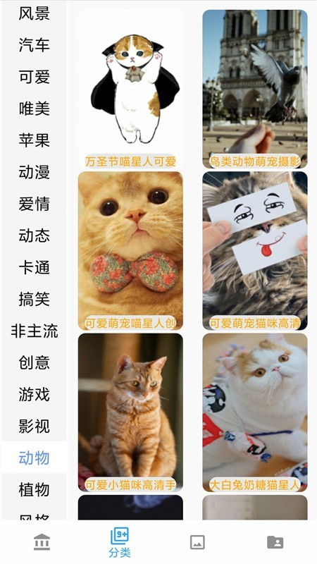 360壁纸桌面 360壁纸桌面