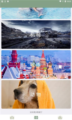 鹦鹉螺壁纸-图3