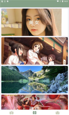 鹦鹉螺壁纸 鹦鹉螺壁纸