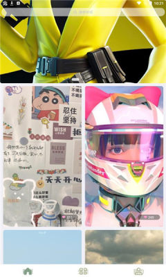 鹦鹉螺壁纸 鹦鹉螺壁纸