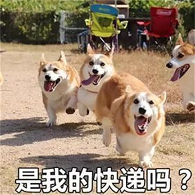 618剁手表情包 618剁手表情包