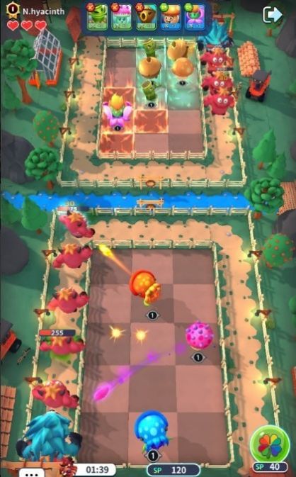 疯狂植物 疯狂植物