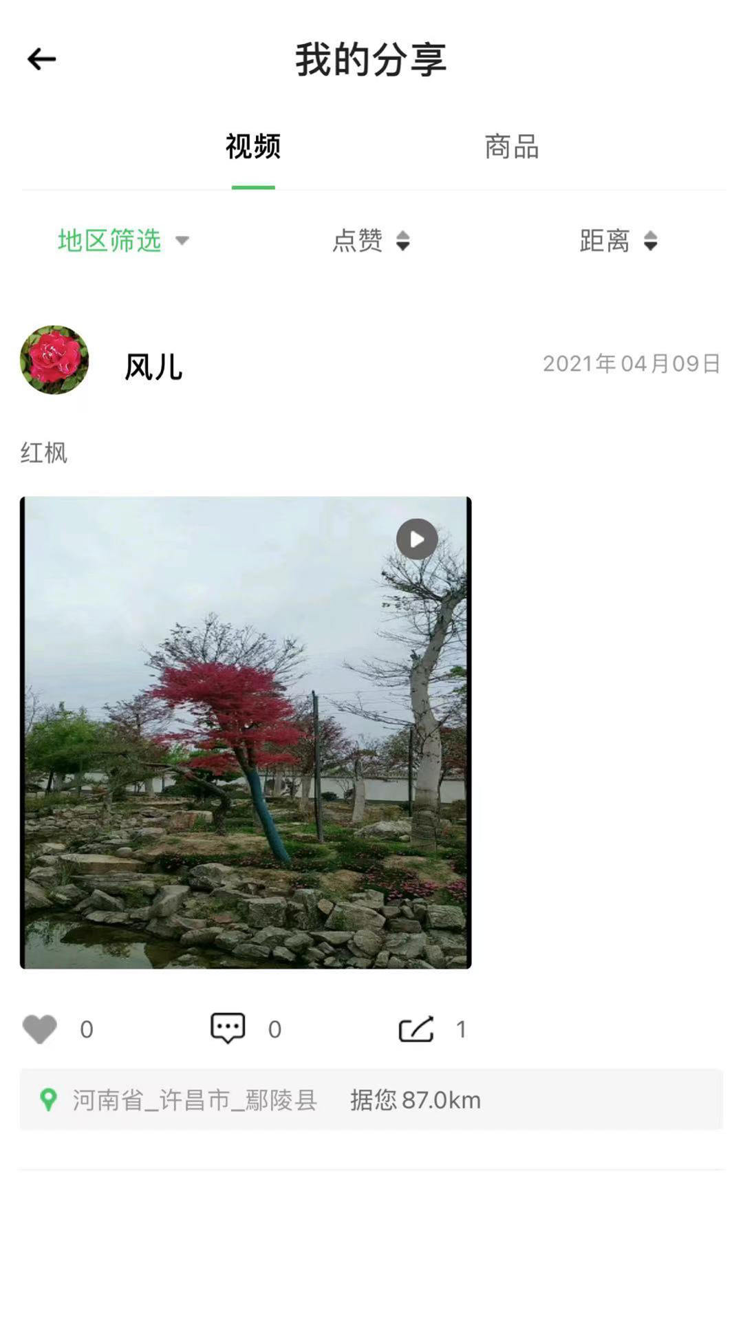 花木森林 花木森林