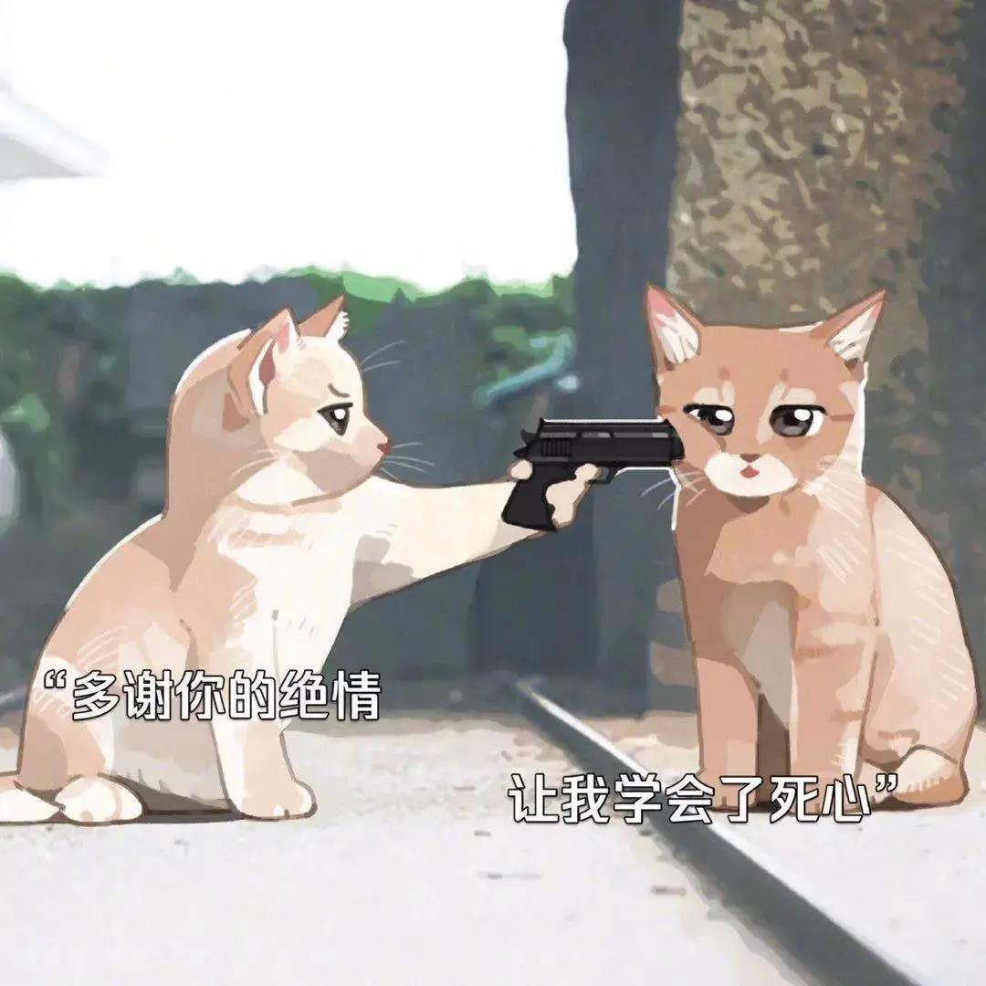 多谢你的绝情让我学会了死心猫咪拿枪背图壁纸 多谢你的绝情让我学会了死心猫咪拿枪背图壁纸