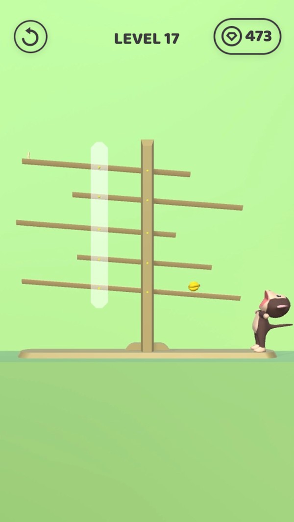 喂喂小松鼠-图4