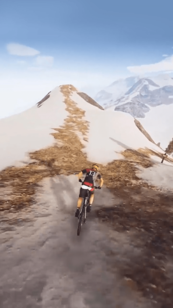 飞跃自行车-图2