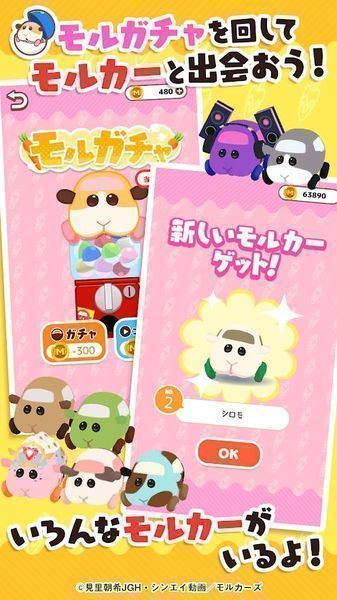 天竺鼠车车毛茸茸停车场