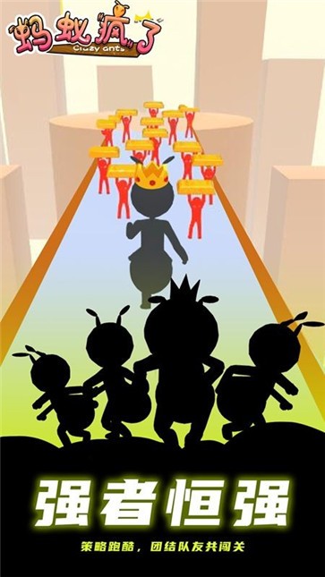 蚂蚁疯了 蚂蚁疯了