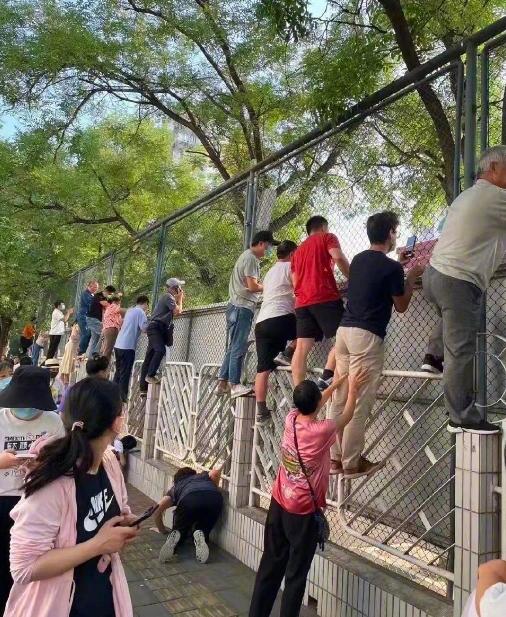 开学第一天家长贴墙暗中观察表情包 开学第一天家长贴墙暗中观察表情包