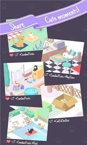 动物野餐会中文版-图2