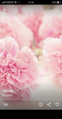 最右壁纸 最右壁纸