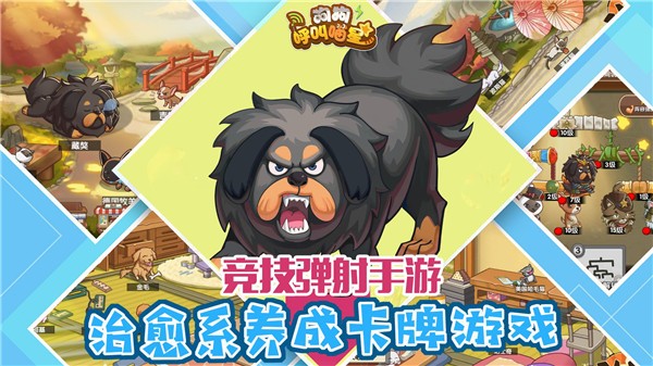 狗狗呼叫喵星-图2