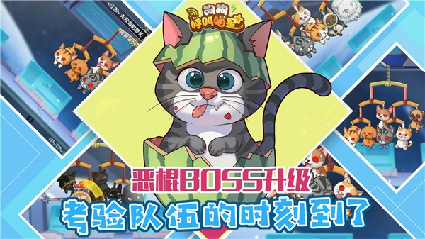 狗狗呼叫喵星-图1