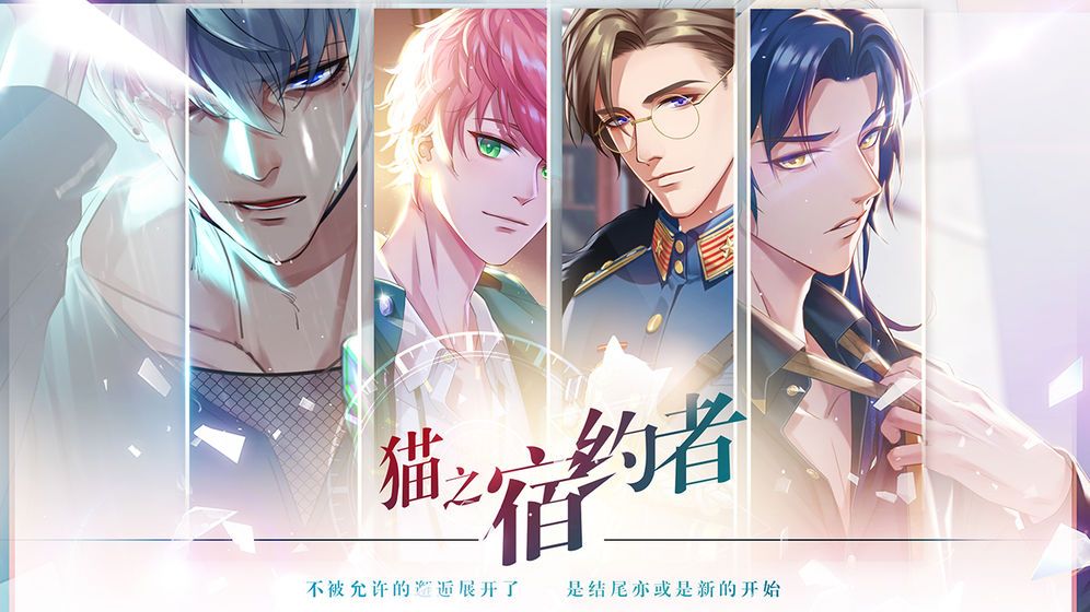 猫之宿约者 猫之宿约者