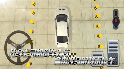 老司机考科目二 老司机考科目二