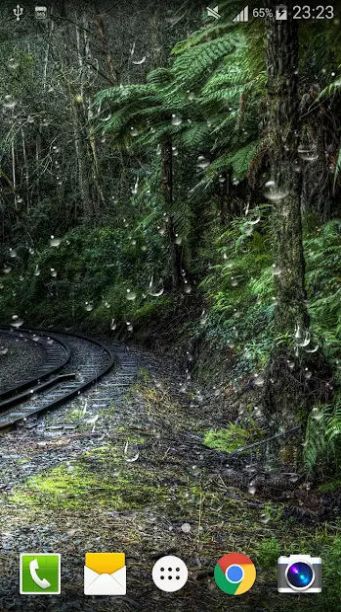 水滴萤火虫动态壁纸-图3