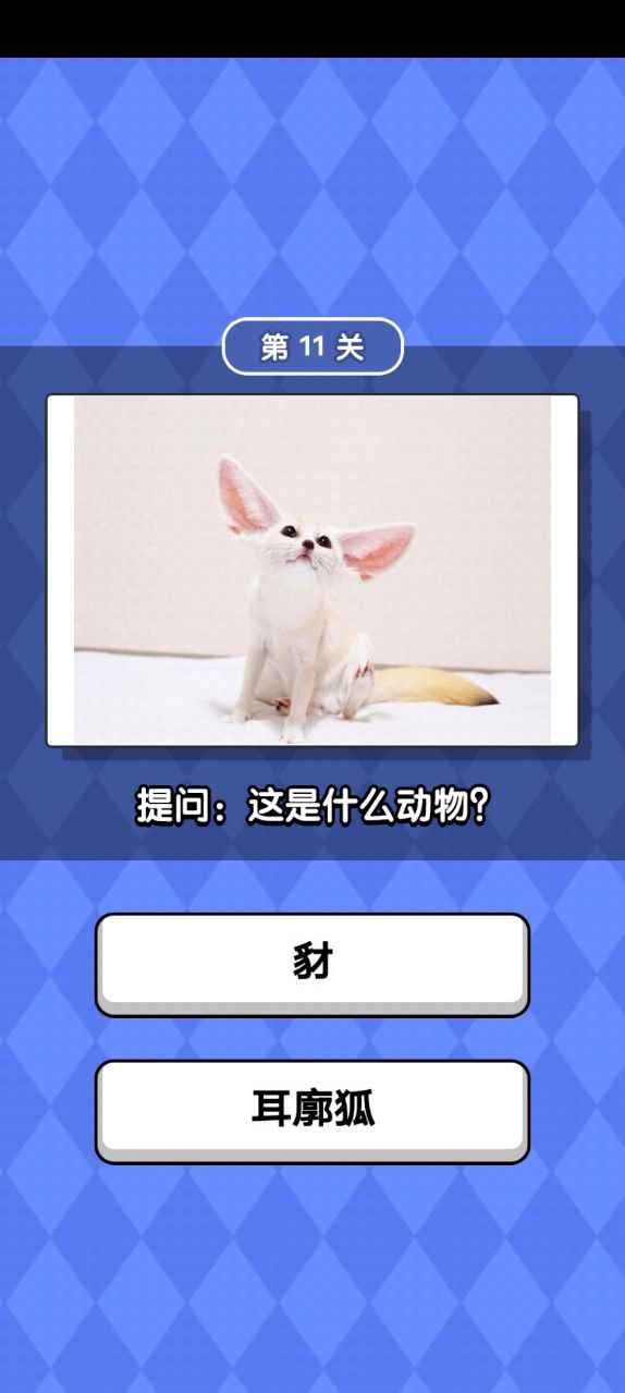 动物滑滑乐 动物滑滑乐