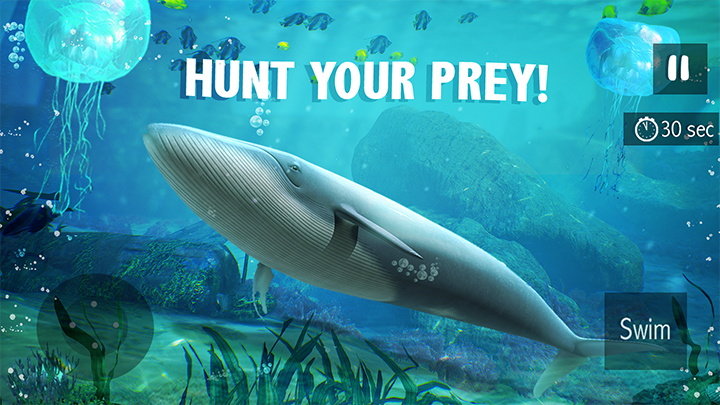 蓝鲸生存模拟器-图1