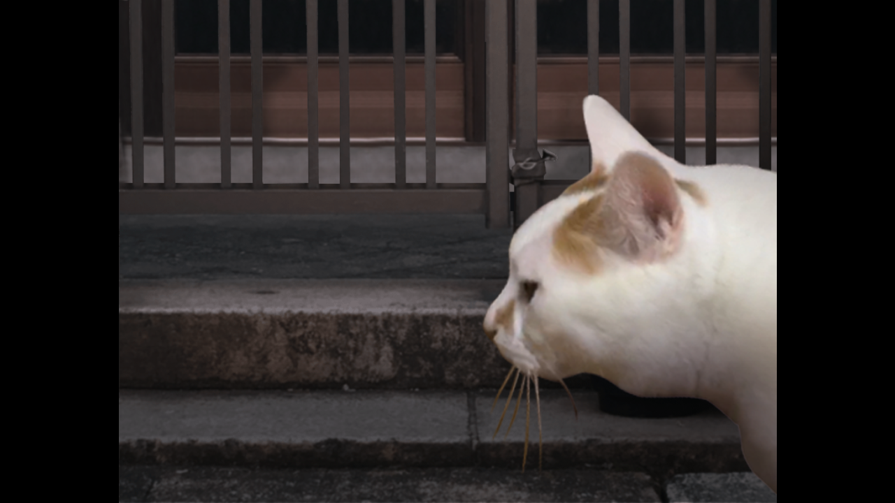 翌日猫之怪奇谭 翌日猫之怪奇谭