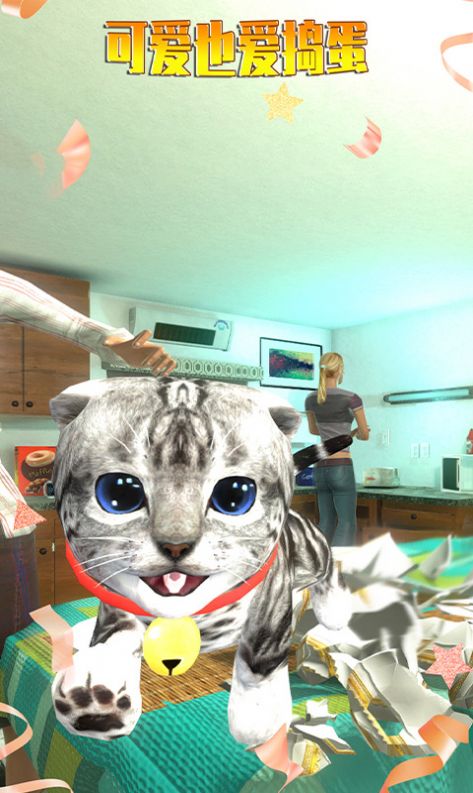 寻找喵星人 寻找喵星人