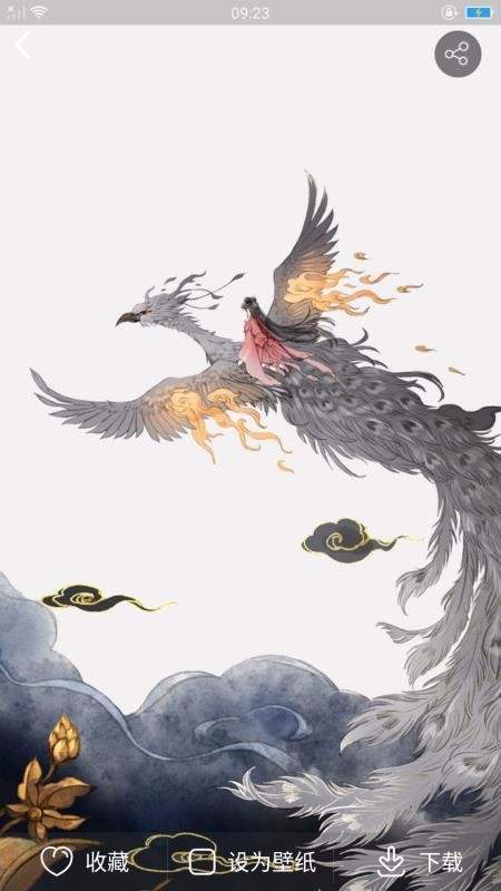 精美主题壁纸 精美主题壁纸