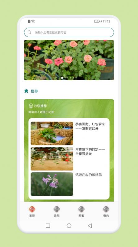 植物识别百科-图2
