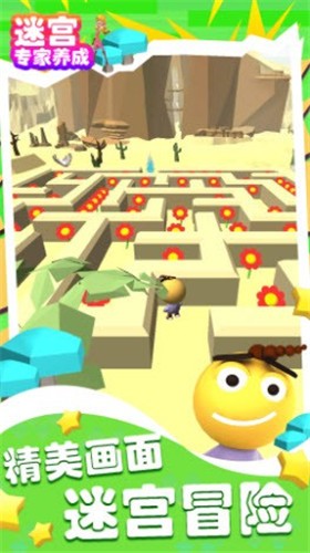 迷宫专家养成 迷宫专家养成