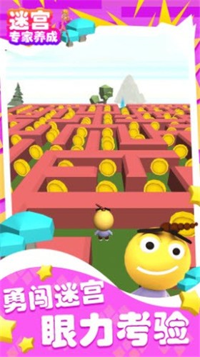 迷宫专家养成-图2