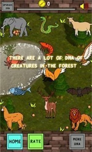 鸭进化生活 鸭进化生活