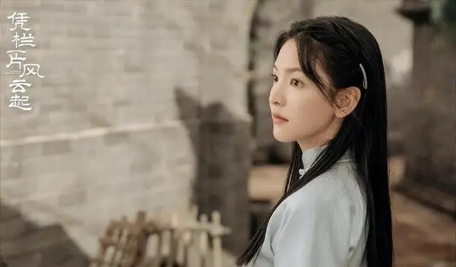 凭栏一片风云起小说 凭栏一片风云起小说