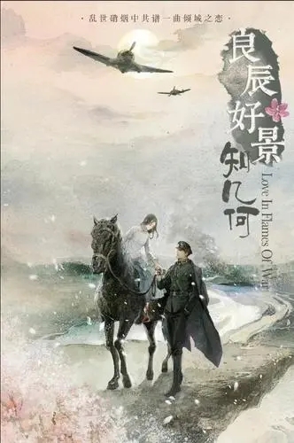 良辰好景知几何小说 良辰好景知几何小说