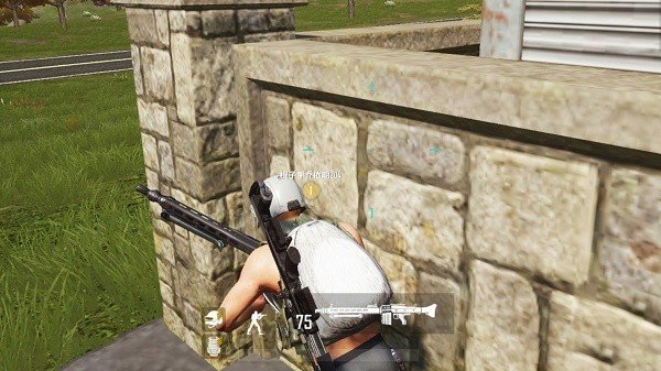 王牌特种精英 王牌特种精英