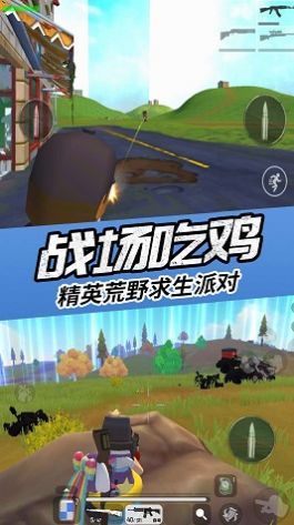 真实吃鸡模拟器-图2