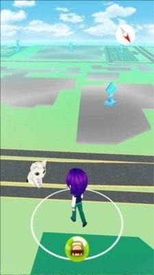 一起来捉猫 一起来捉猫