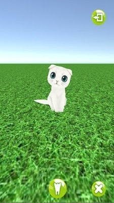 一起来捉猫 一起来捉猫