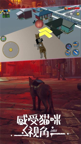 城市动物大冒险 城市动物大冒险
