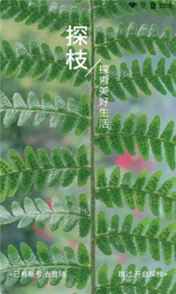 探枝社交 探枝社交