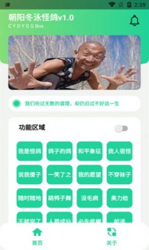 冬泳怪鸽盒语音包-图1