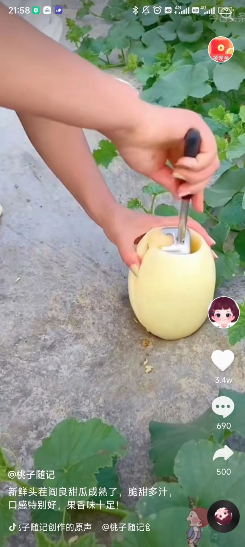 长猿短视频-图1