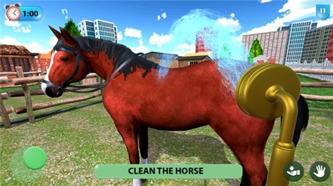 虚拟动物避难所-图1