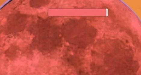 m木糖m迈特凯幸存者-图2