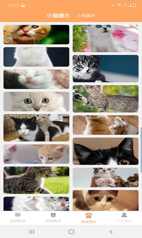 爱猫狗翻译 爱猫狗翻译