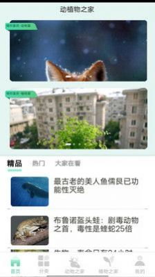 动植物之家-图1