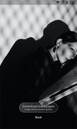 Backpaper壁纸-图1